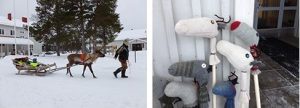 juha-ja-poro-ja-keppiporot